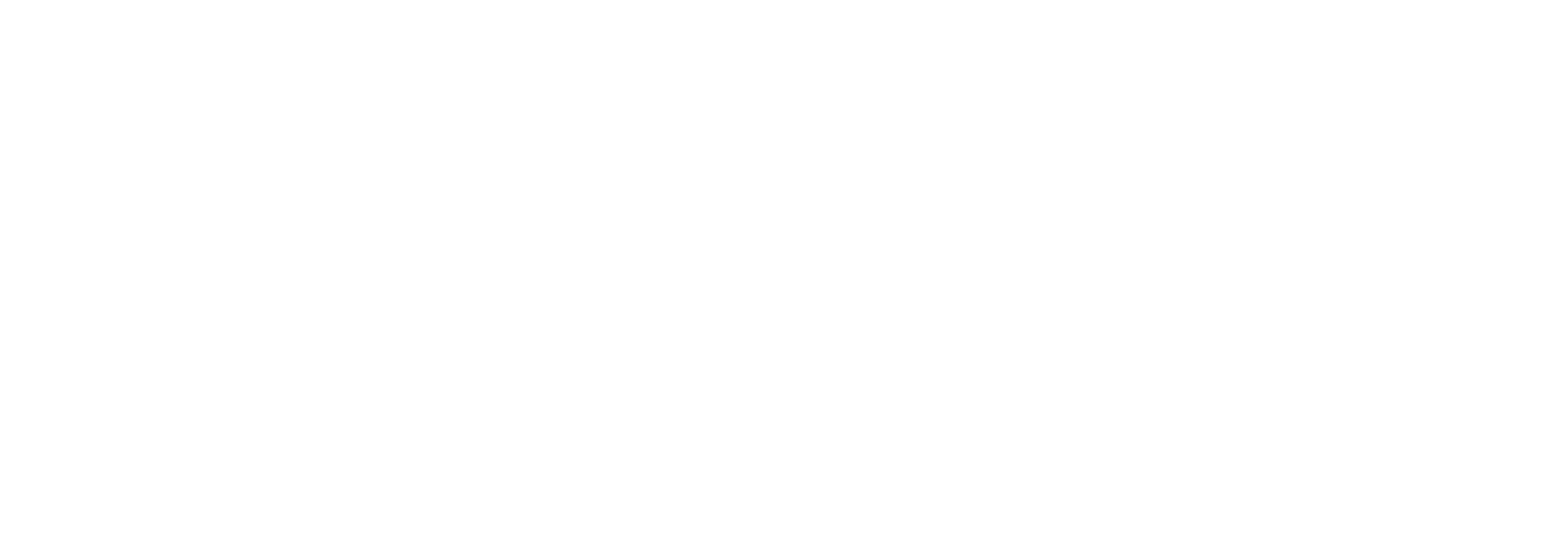 Scarppe Transporte y Logística